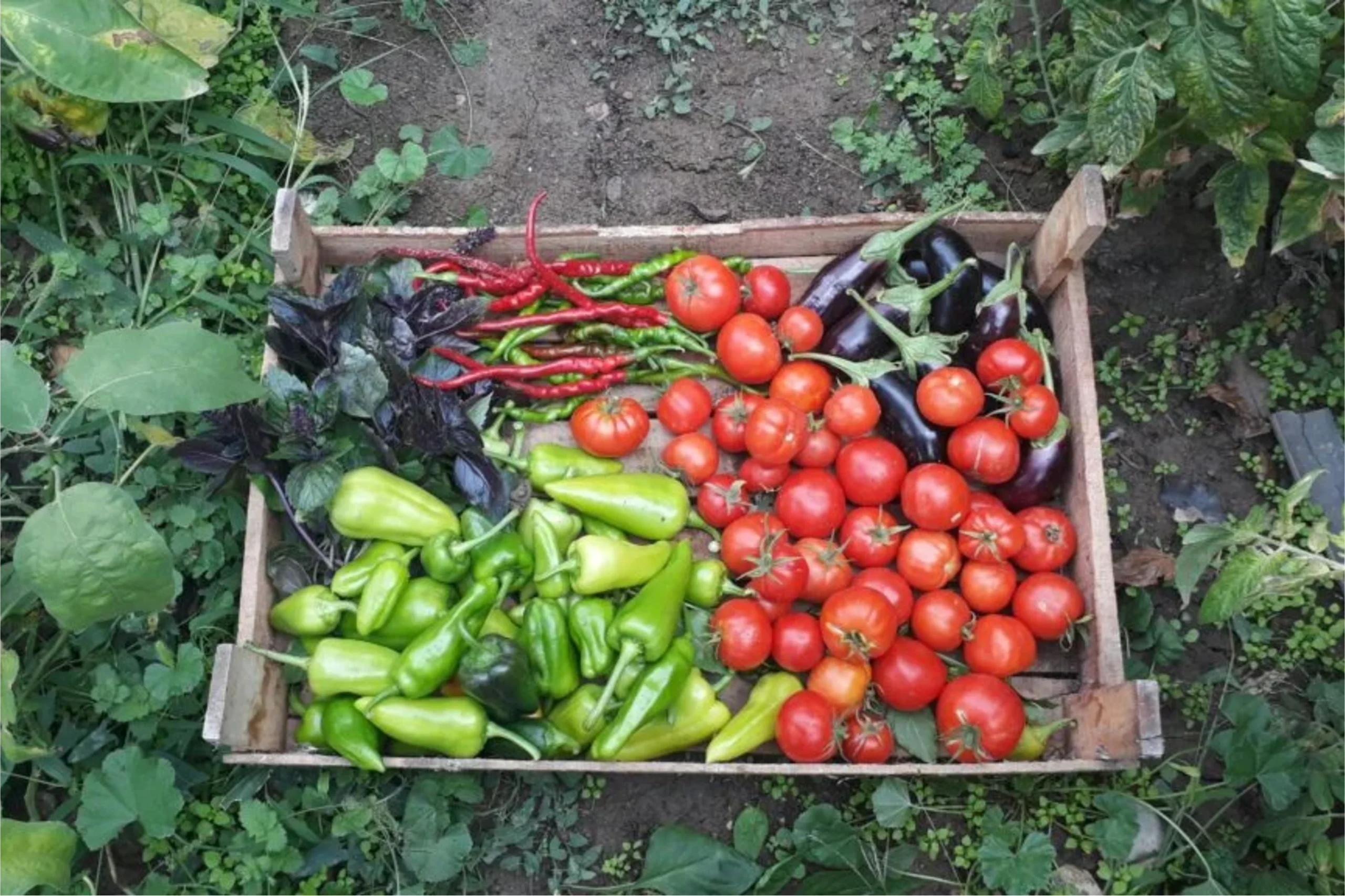 Fresh seasonal produce Dooraesatae
